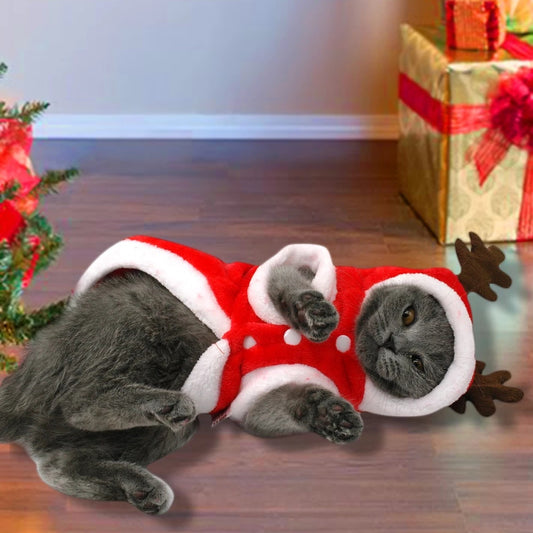 Christmas clothes for dogs and cats.